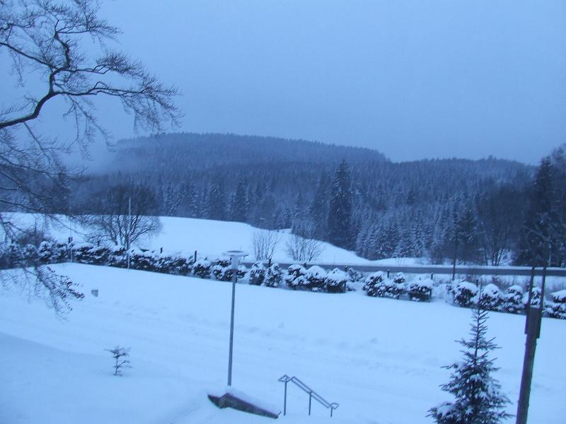 DSCF2535.JPG