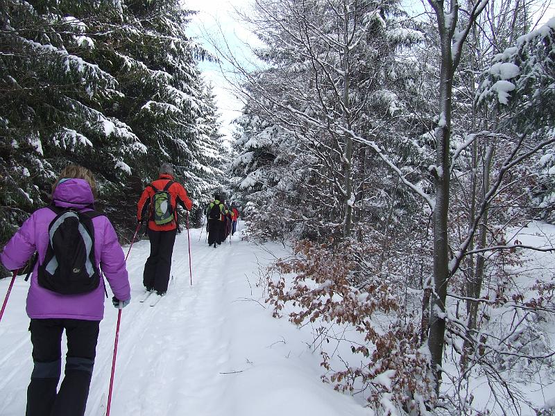 DSCF2555.JPG