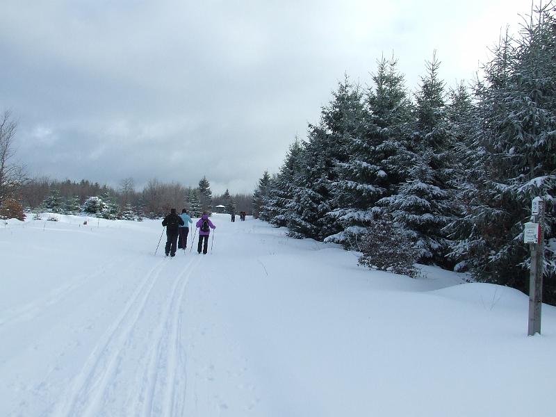 DSCF2570.JPG