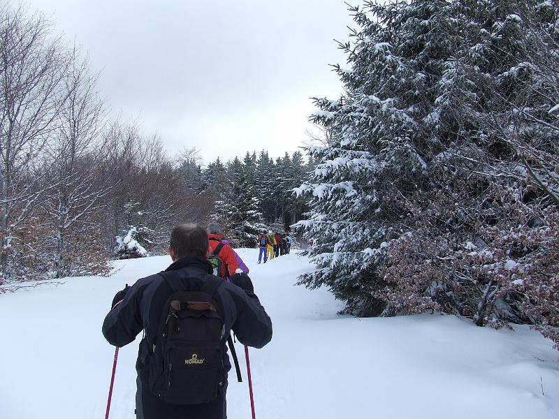 DSCF2590.JPG