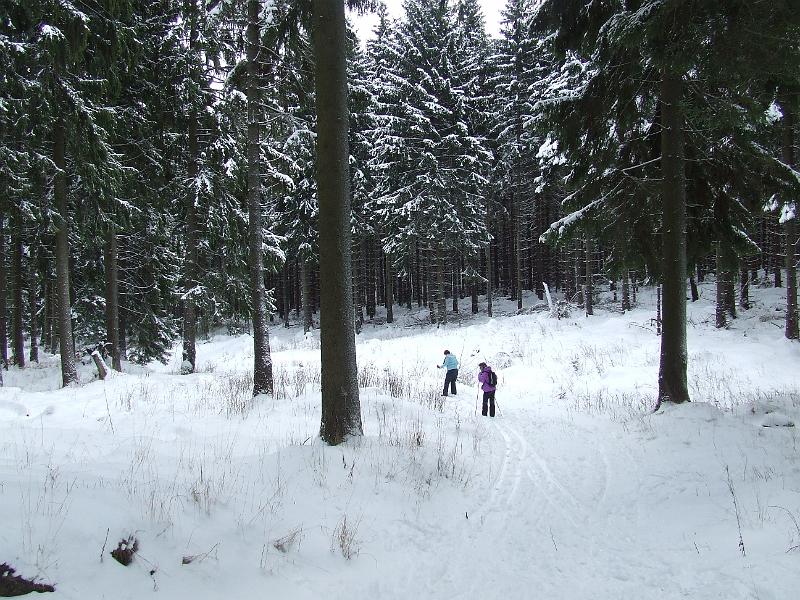 DSCF2616.JPG
