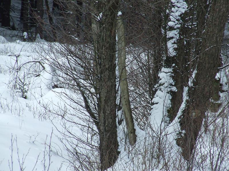 DSCF2626.JPG