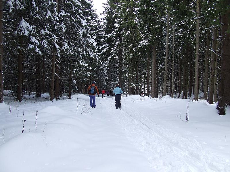 DSCF2641.JPG