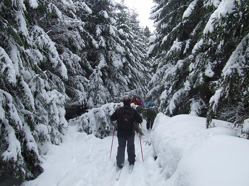 DSCF2658.JPG