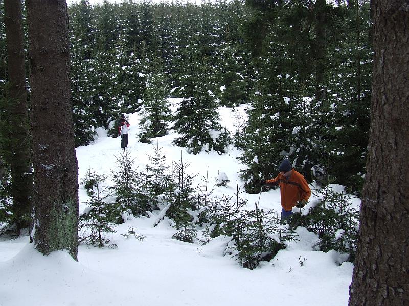 DSCF2682.JPG