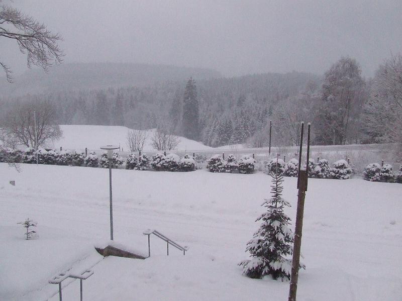 DSCF2687.JPG
