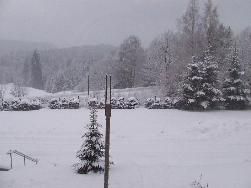 DSCF2689.JPG