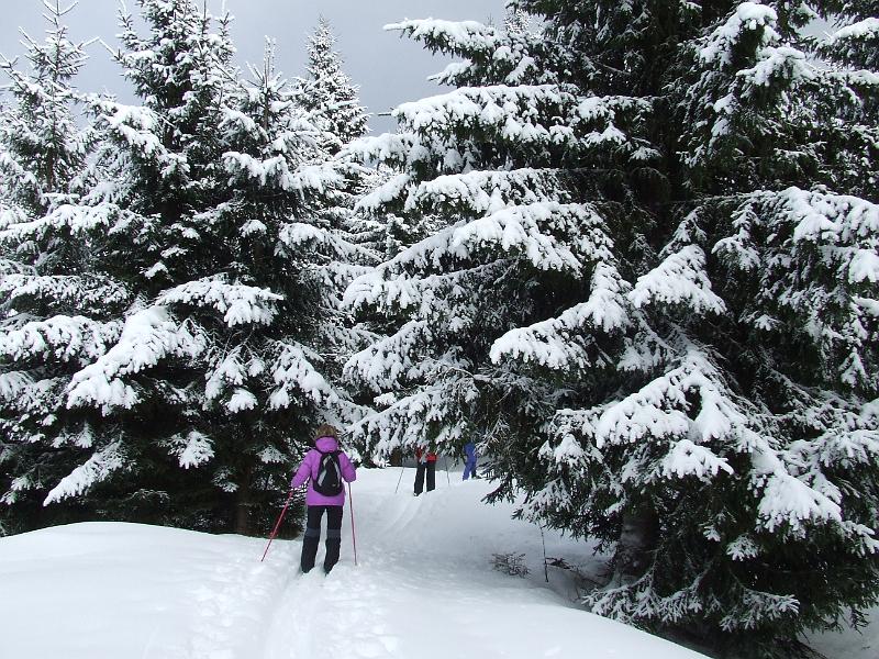 DSCF2761.JPG