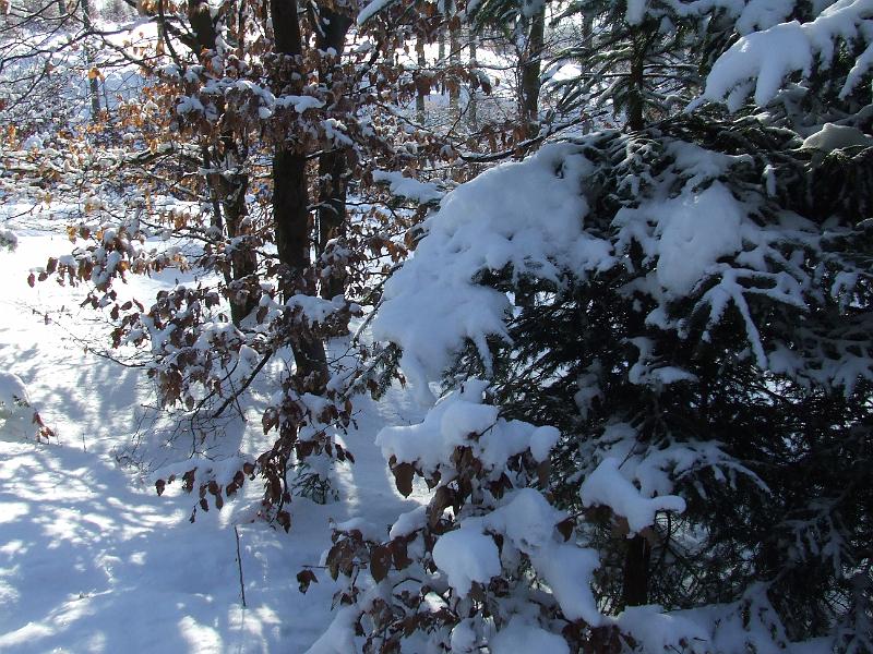 DSCF2802.JPG