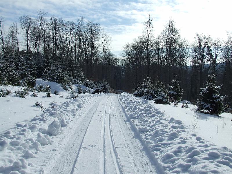DSCF2831.JPG