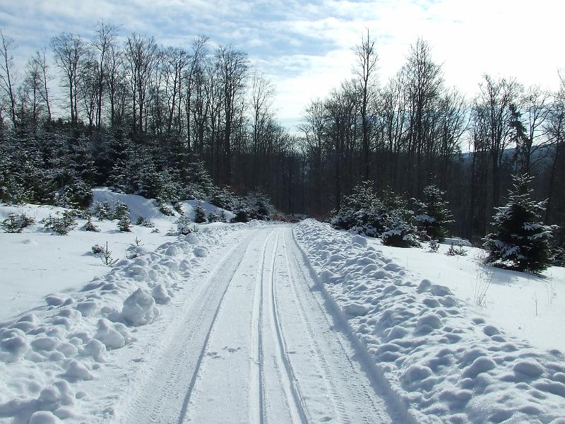 DSCF2832.JPG