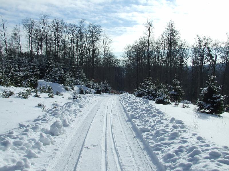 DSCF2833.JPG