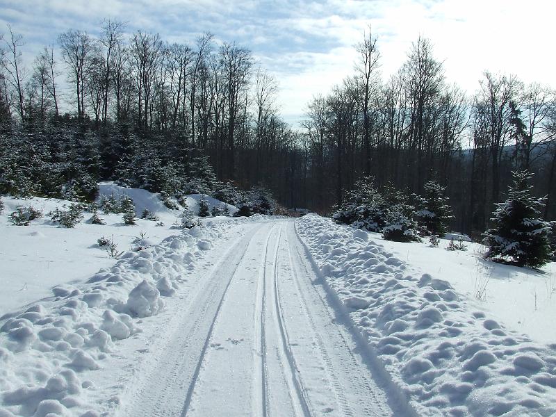 DSCF2834.JPG