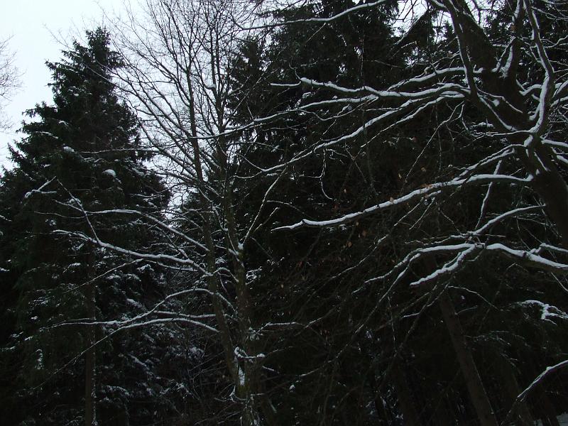 DSCF2882.JPG