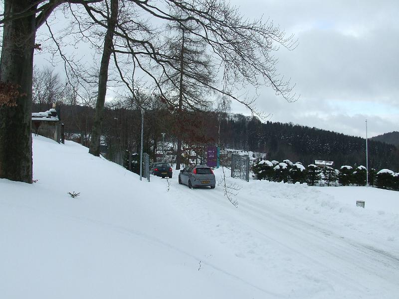 DSCF2990.JPG