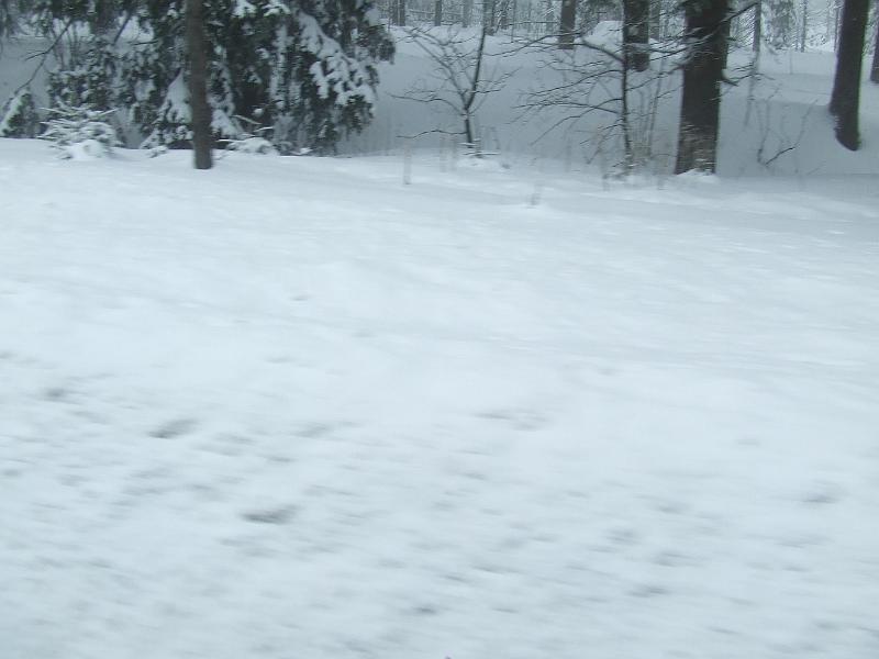 DSCF2992.JPG