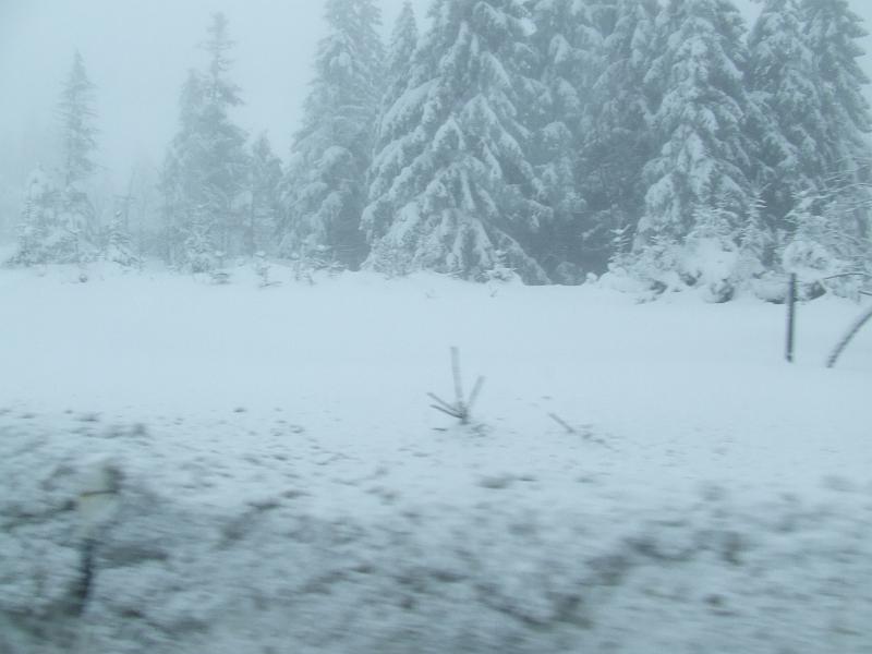DSCF3001.JPG