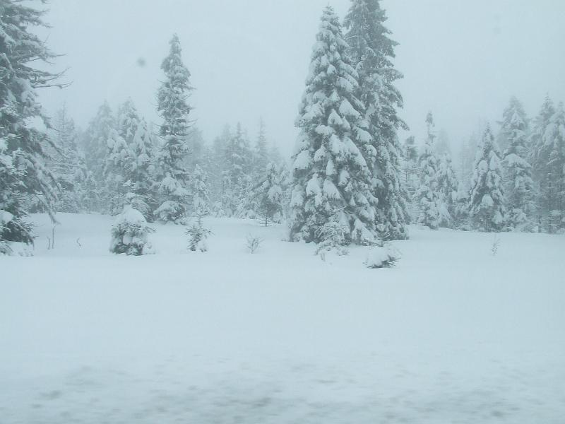 DSCF3003.JPG