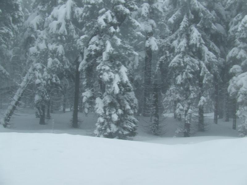 DSCF3005.JPG