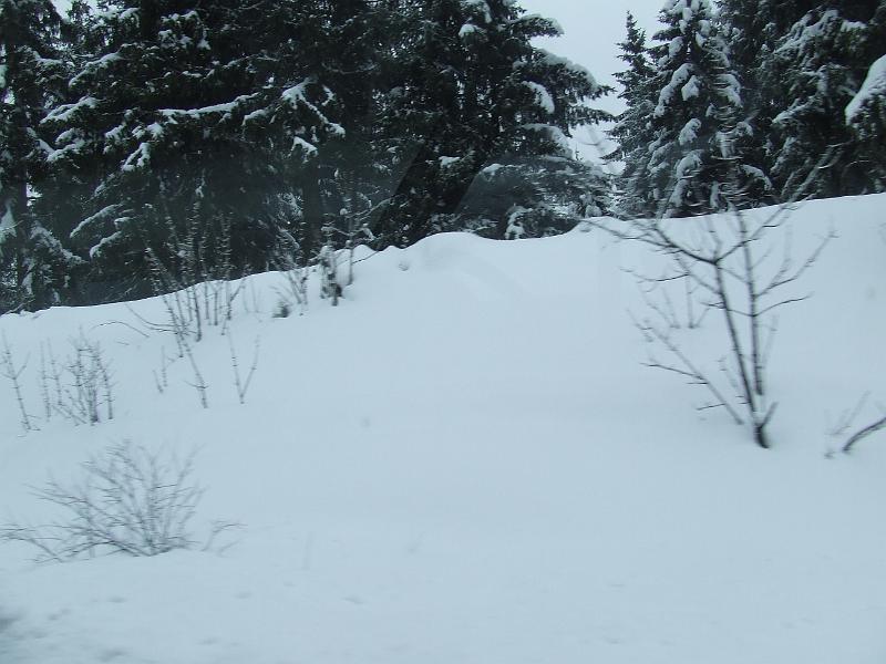DSCF3039.JPG