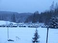 DSCF2538