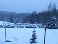 DSCF2539