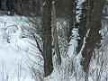 DSCF2625