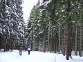 DSCF2644