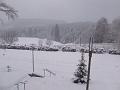 DSCF2687