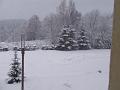 DSCF2690