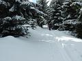 DSCF2749