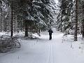 DSCF2767