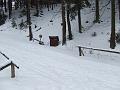 DSCF2883