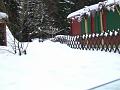 DSCF2899