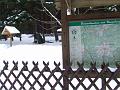 DSCF2906